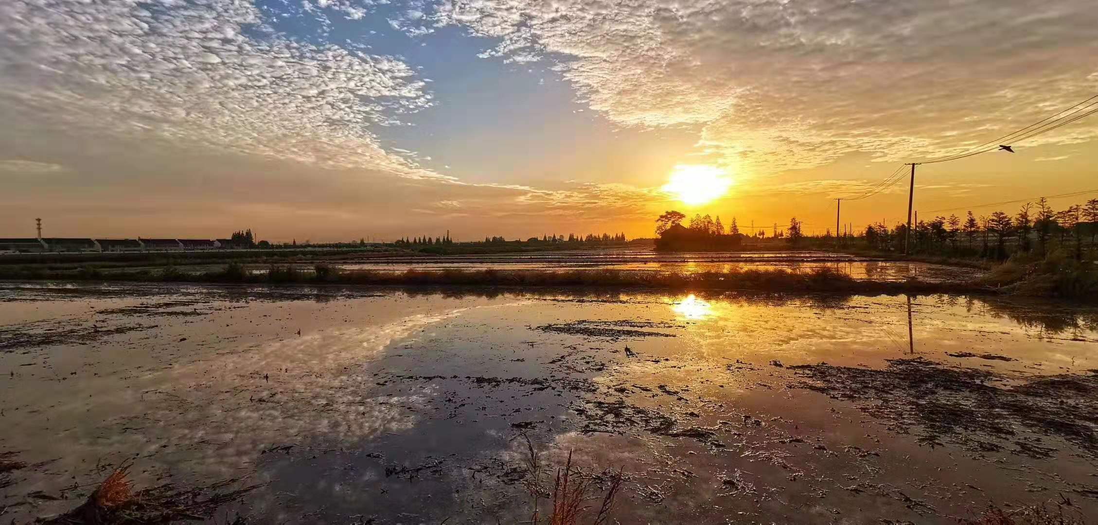 首页轮播9